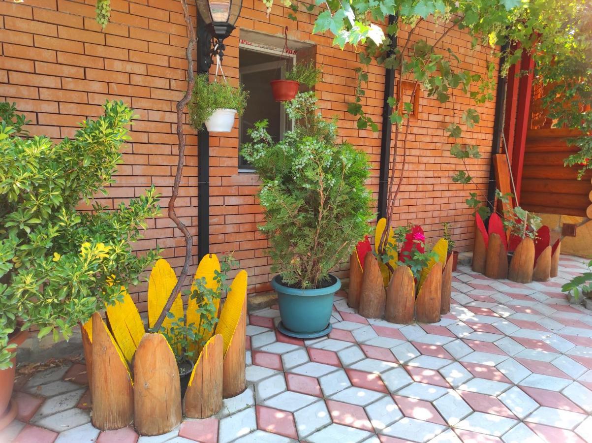 Old Tbilisi Villa Costa Ngoại thất bức ảnh